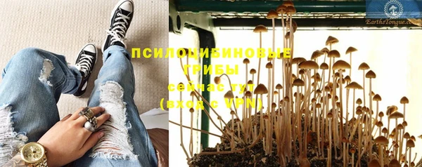 соль курить ск Протвино