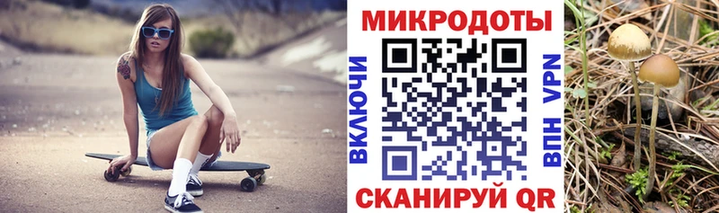Псилоцибиновые грибы ЛСД Купить закладки Сясьстрой